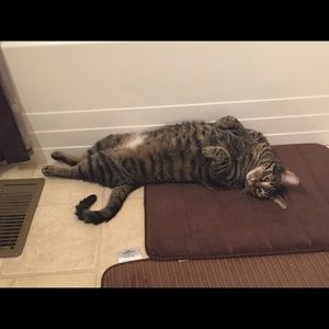 Meet your Posher, Kristin